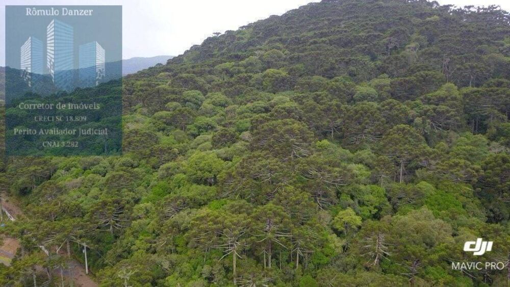 Terreno, 10000 m² - Foto 2