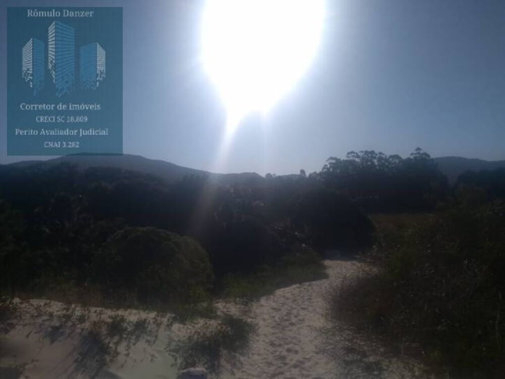 Fazenda-Sítio-Chácara, 125 hectares - Foto 3