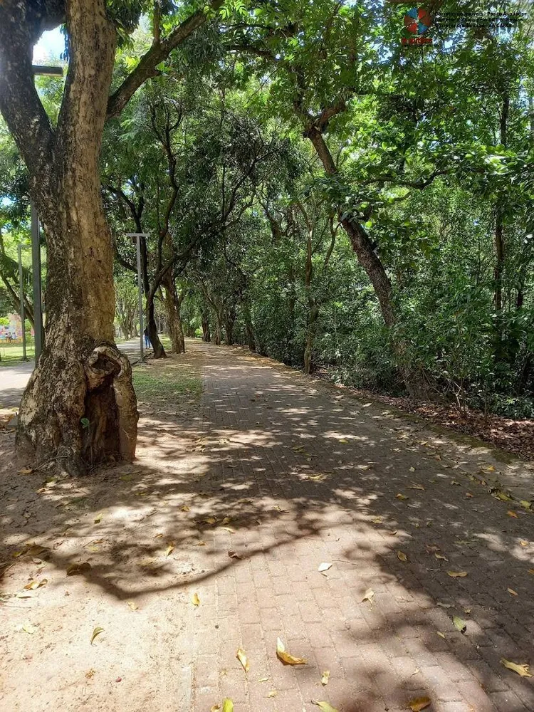Apartamento, 3 quartos, 62 m² - Foto 6