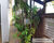 Casa, 4 quartos, 330 m² - Foto 2