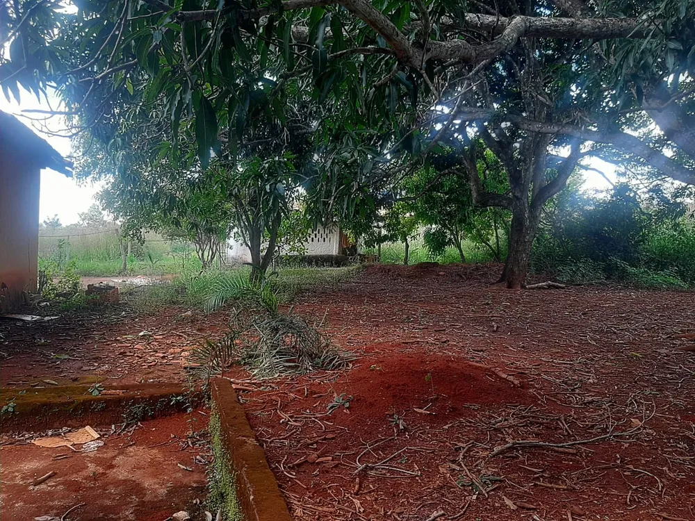 Chácara, 2 quartos, 6811 m² - Foto 6