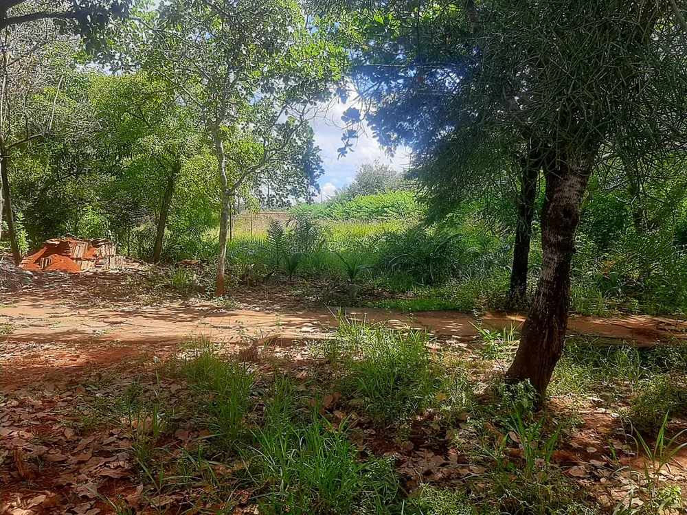 Chácara, 2 quartos, 6811 m² - Foto 2