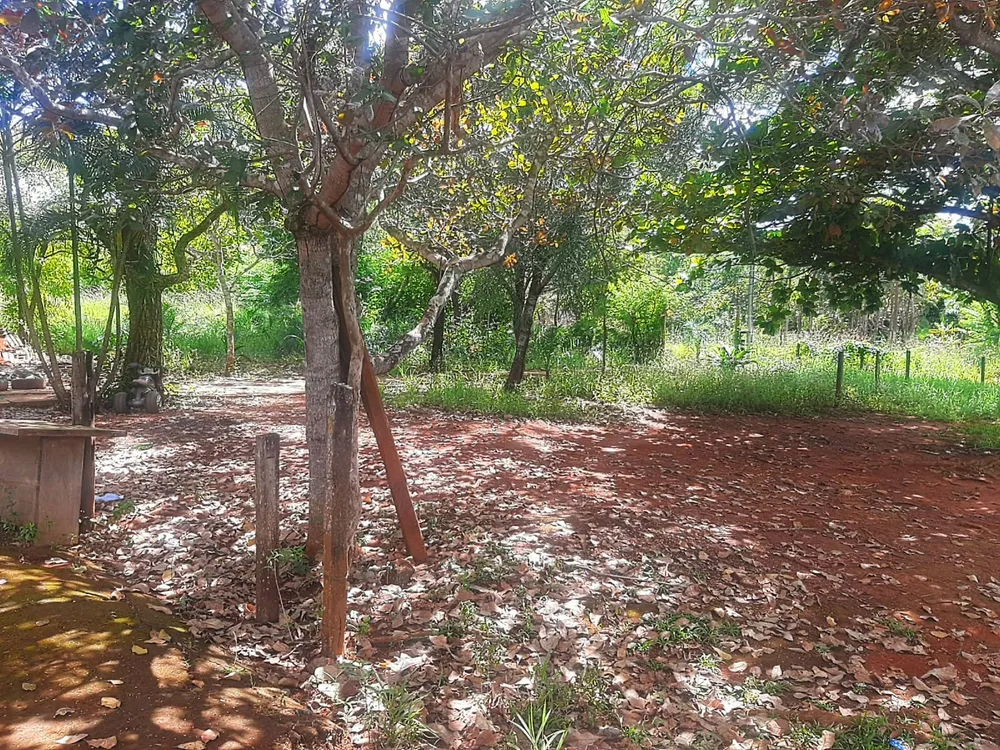 Chácara, 2 quartos, 6811 m² - Foto 7