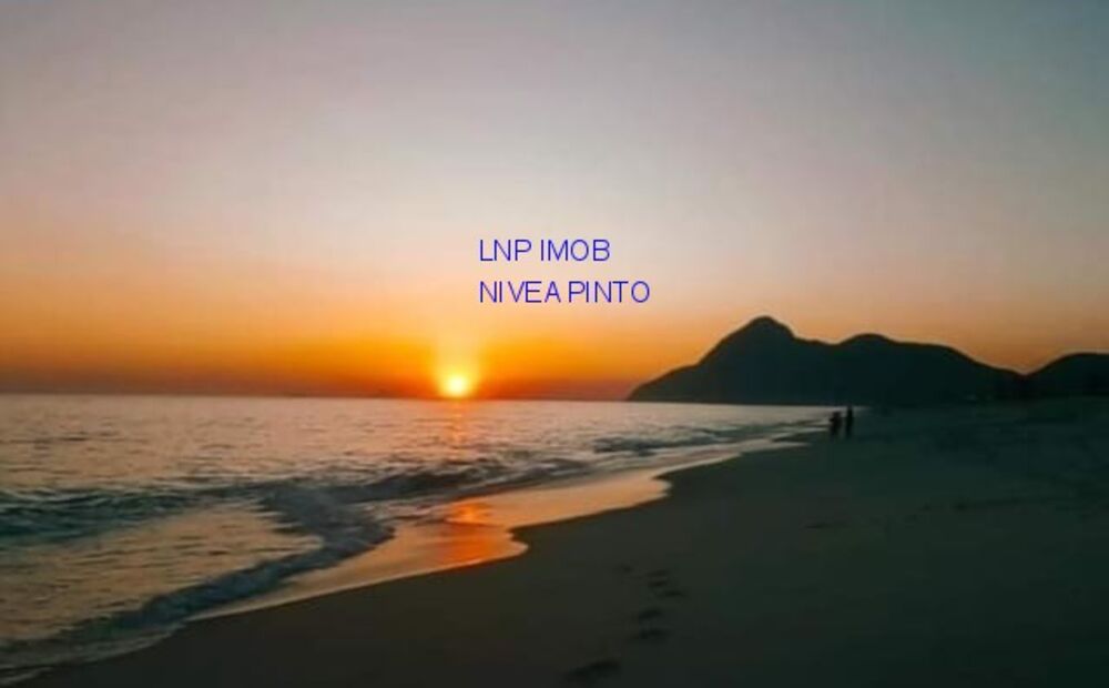 Terreno, 18 hectares - Foto 6