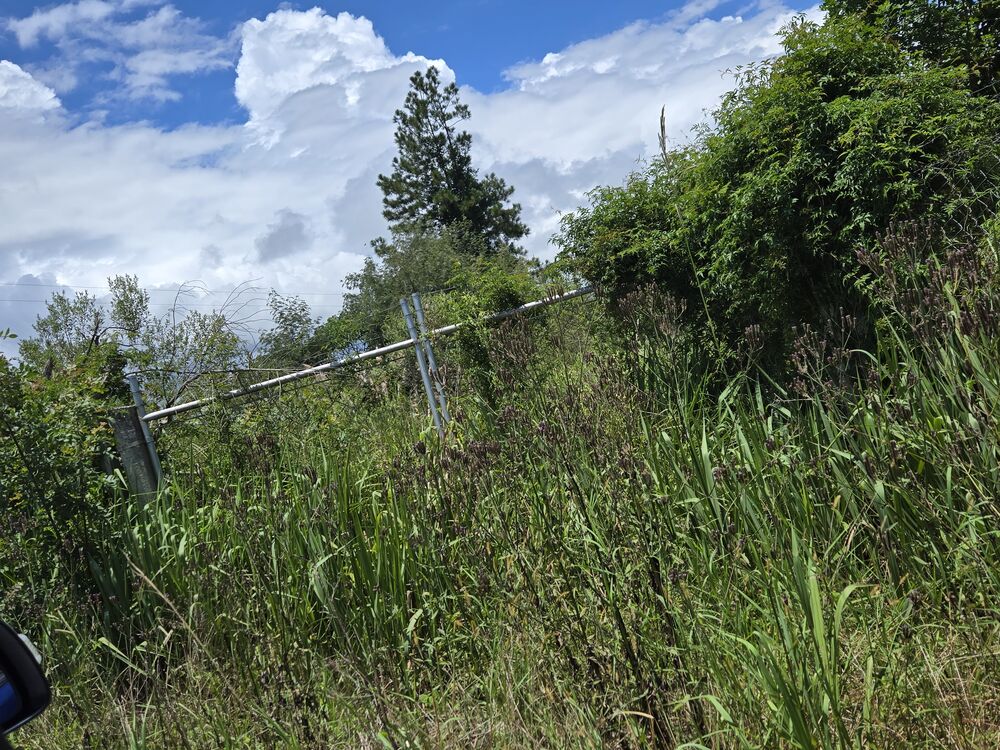 Terreno à venda, 7340m2 - Foto 2