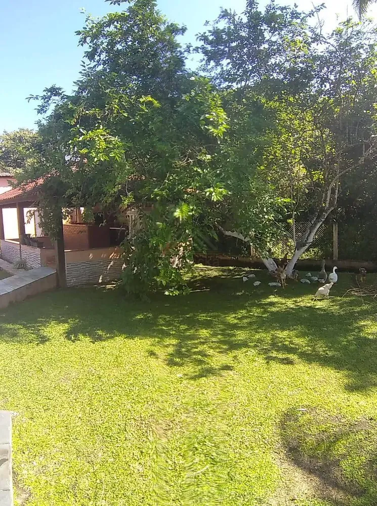 Chácara, 5 quartos, 6900 m² - Foto 2