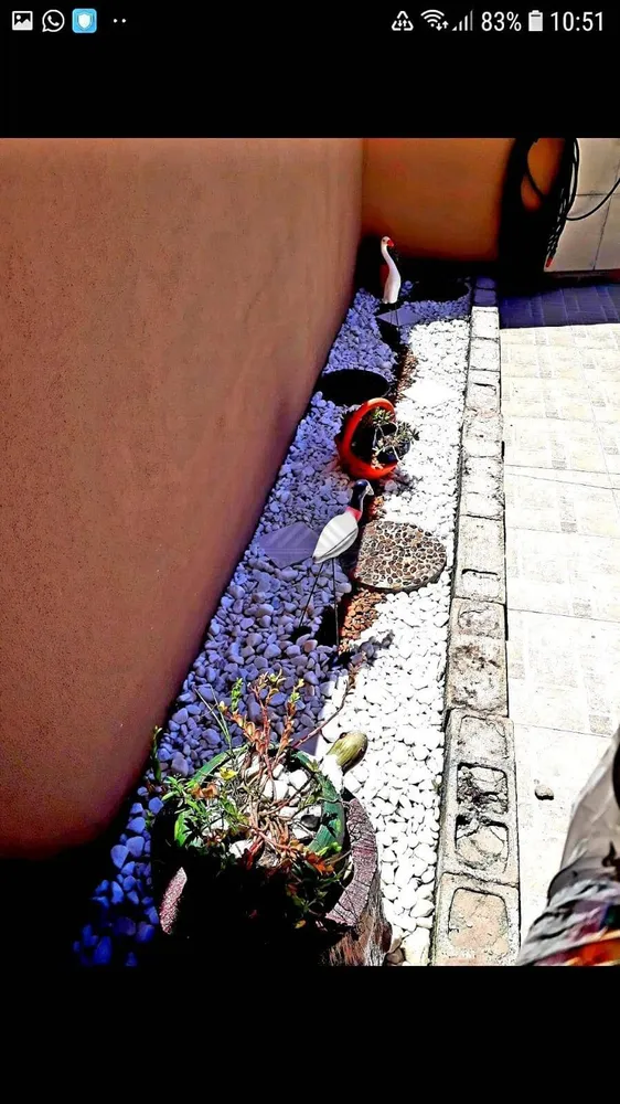 Casa, 2 quartos, 150 m² - Foto 5