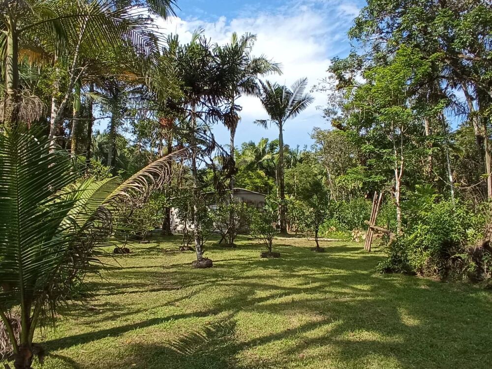 Chácara, 4 quartos, 5000 m² - Foto 17