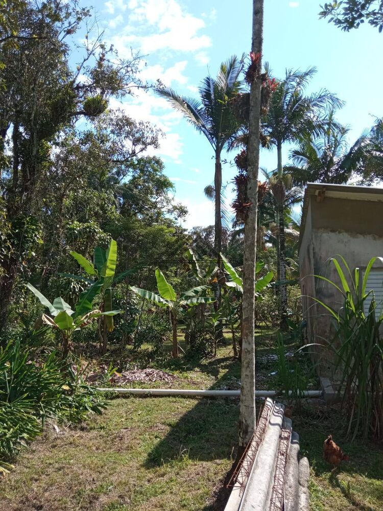 Chácara, 4 quartos, 5000 m² - Foto 13