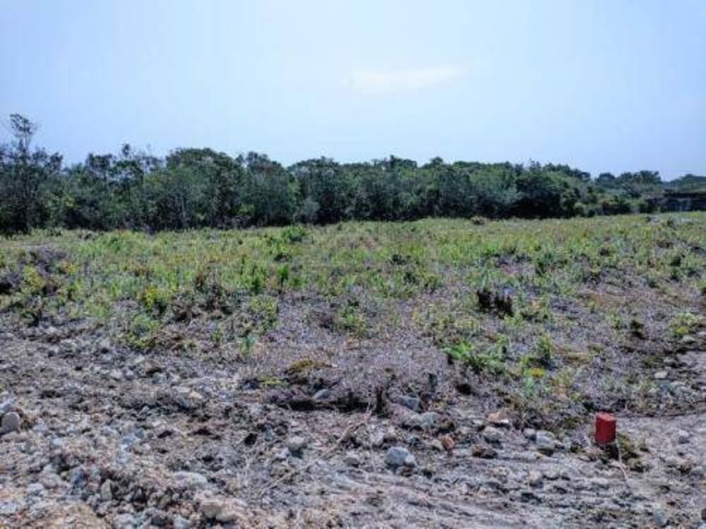 Terreno, 125 m² - Foto 3