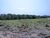 Terreno, 125 m² - Foto 3