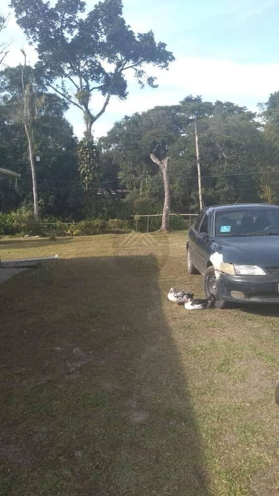 Chácara, 3 quartos, 2880 m² - Foto 9