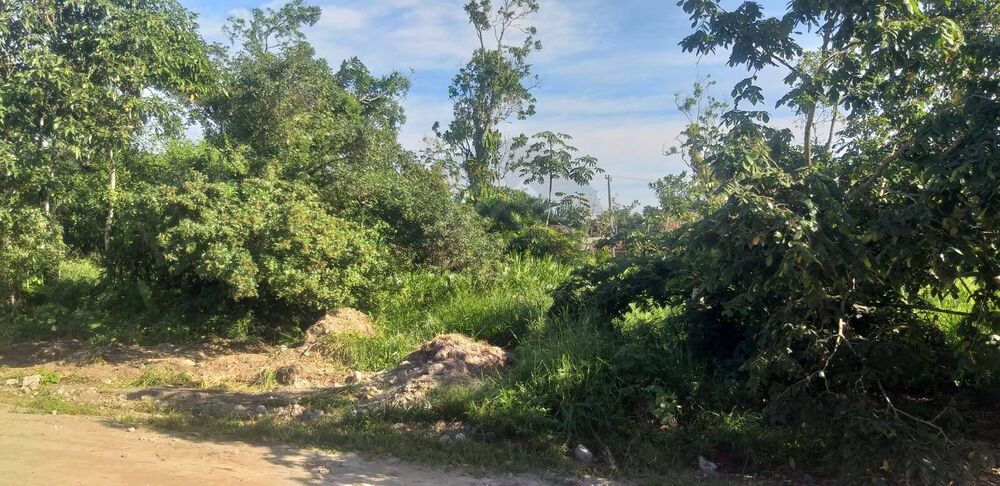 Terreno, 250 m² - Foto 2