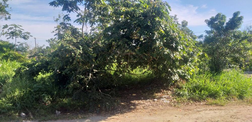 Terreno, 250 m² - Foto 3