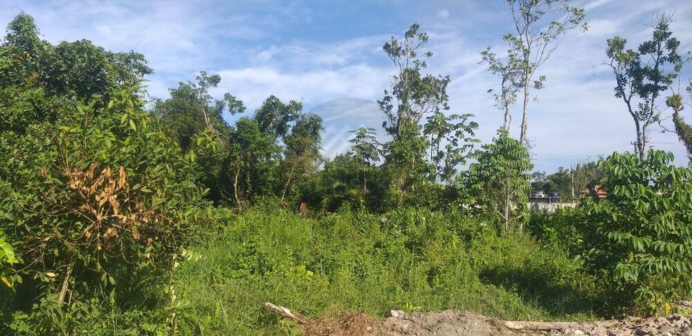 Terreno, 250 m² - Foto 1