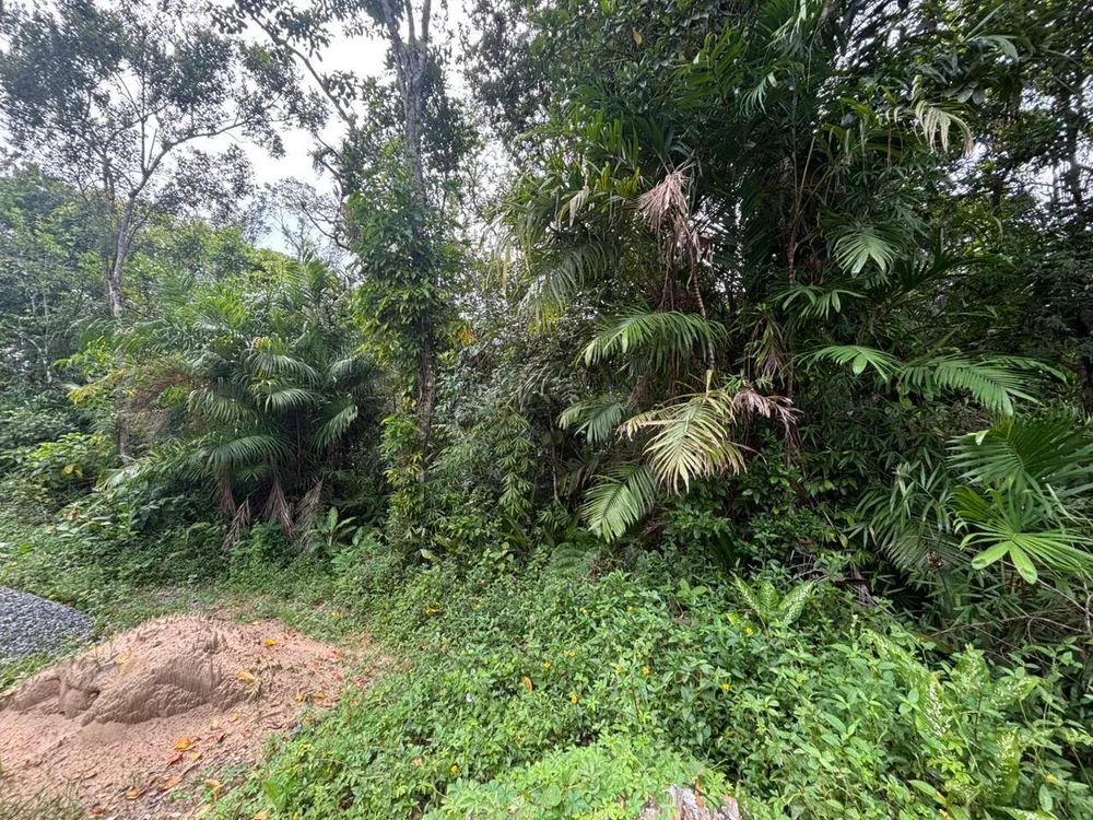 Terreno, 1000 m² - Foto 2