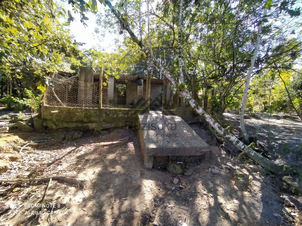 Chácara, 2 quartos, 4344 m² - Foto 4