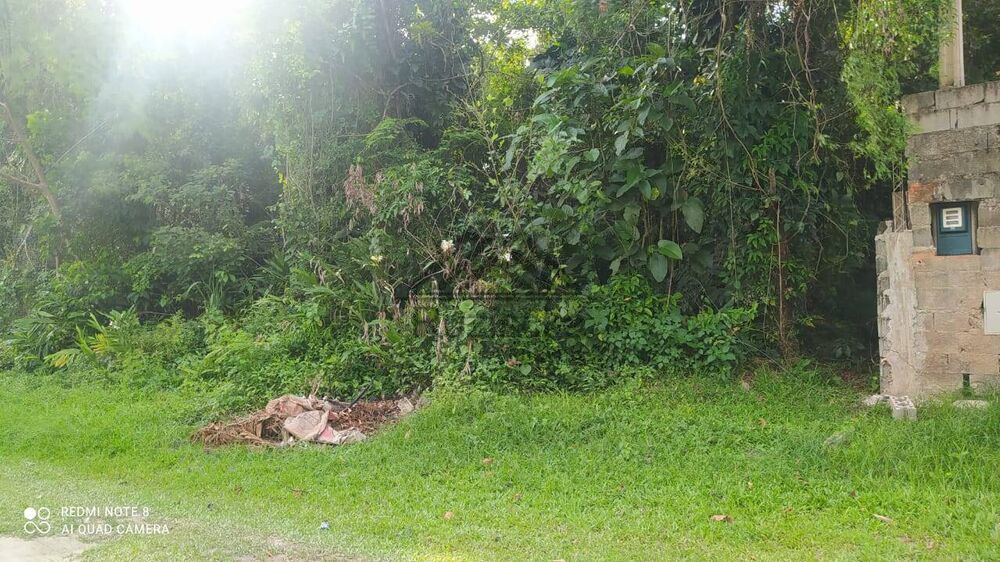 Terreno, 1000 m² - Foto 7