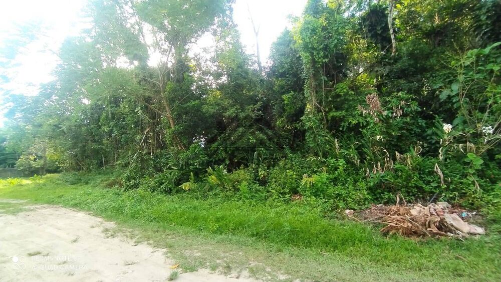 Terreno, 1000 m² - Foto 4