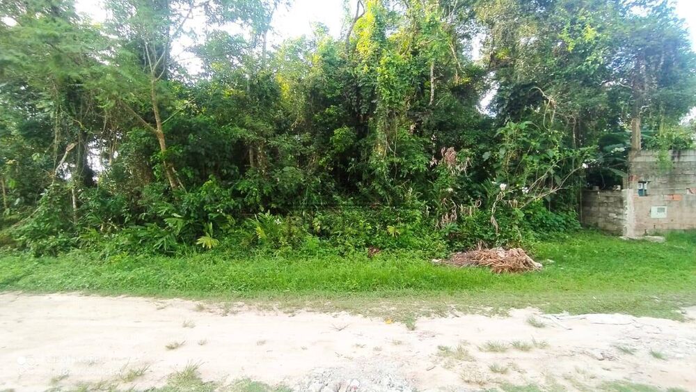 Terreno, 1000 m² - Foto 3