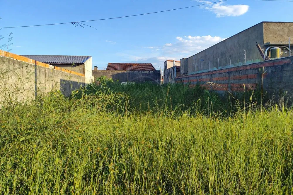 Terreno, 250 m² - Foto 1