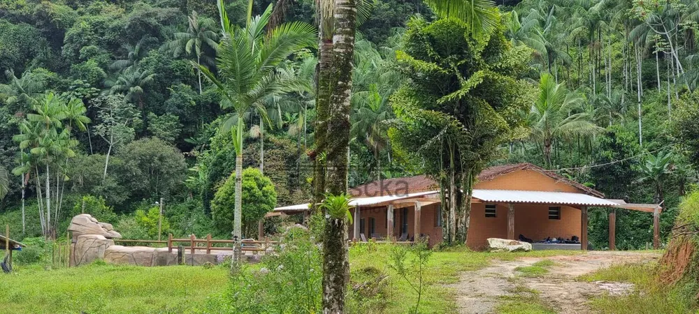 Sítio, 2 quartos, 31 hectares - Foto 4