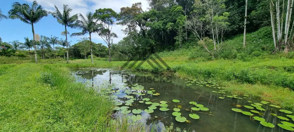 Sítio, 2 quartos, 31 hectares - Foto 10