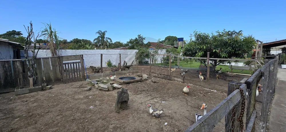 Chácara, 1 quarto, 1000 m² - Foto 9