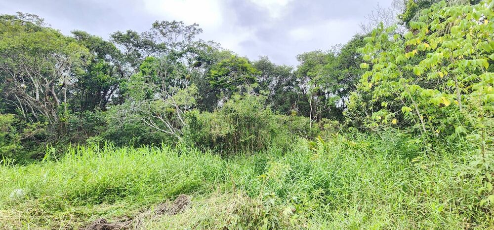 Terreno, 7000 m² - Foto 3