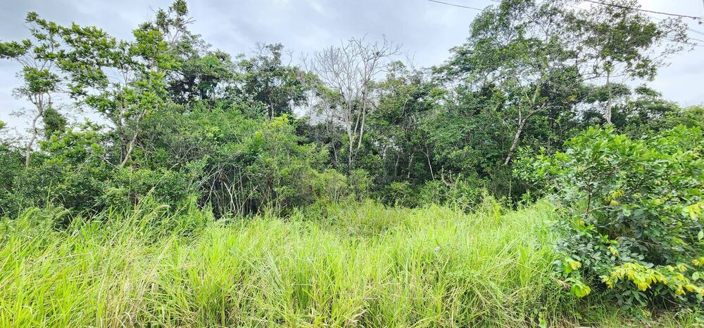 Terreno, 7000 m² - Foto 1