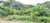 Terreno, 7000 m² - Foto 3