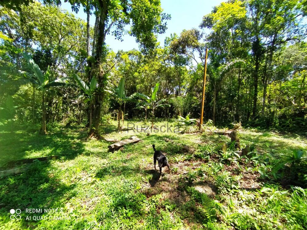 Terreno, 1000 m² - Foto 1
