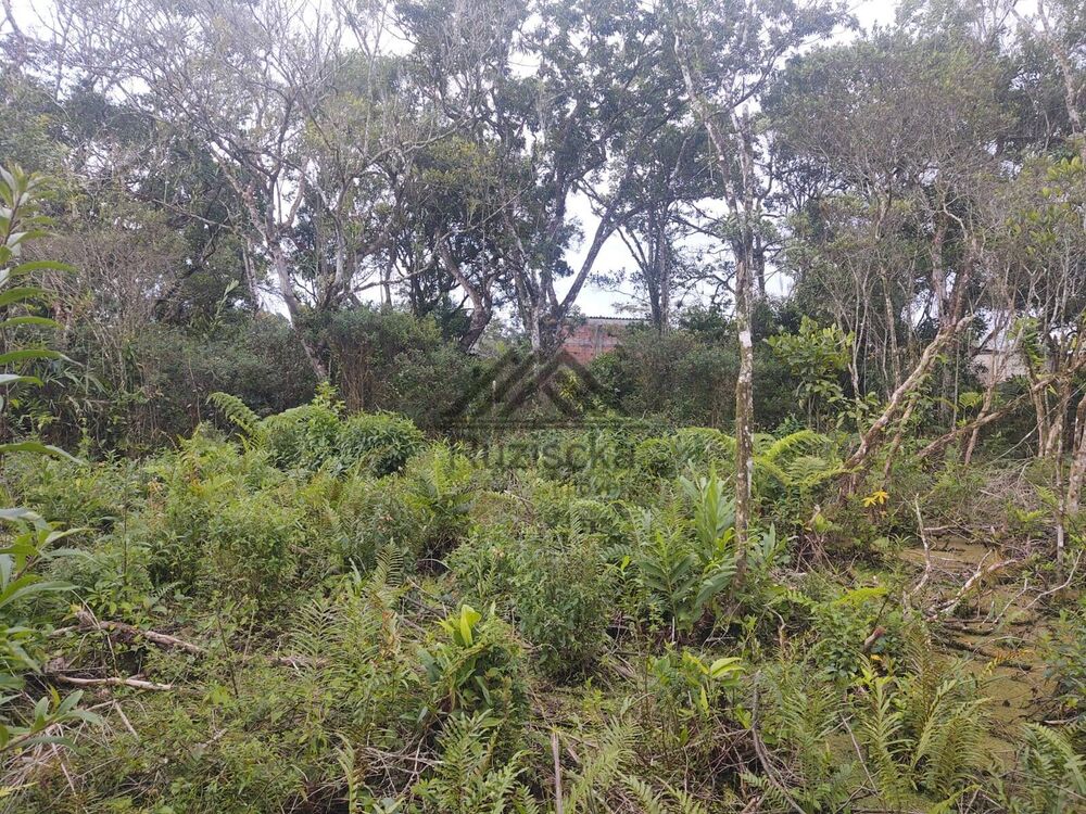 Terreno à venda, 275m² - Foto 1