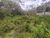 Terreno, 275 m² - Foto 8
