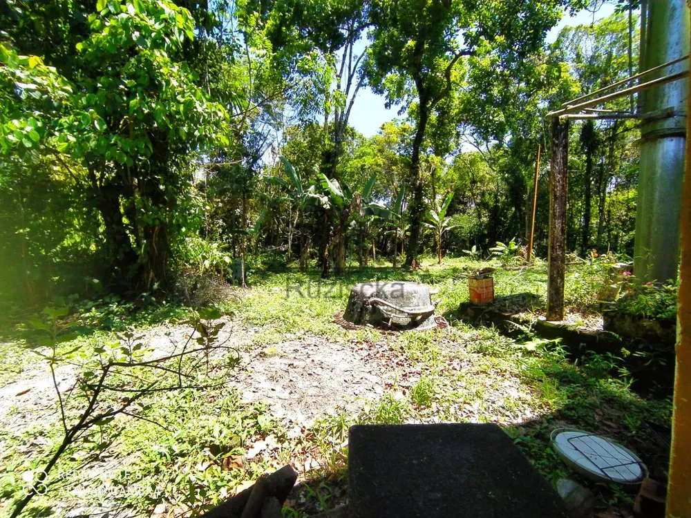 Chácara, 2 quartos, 2000 m² - Foto 5