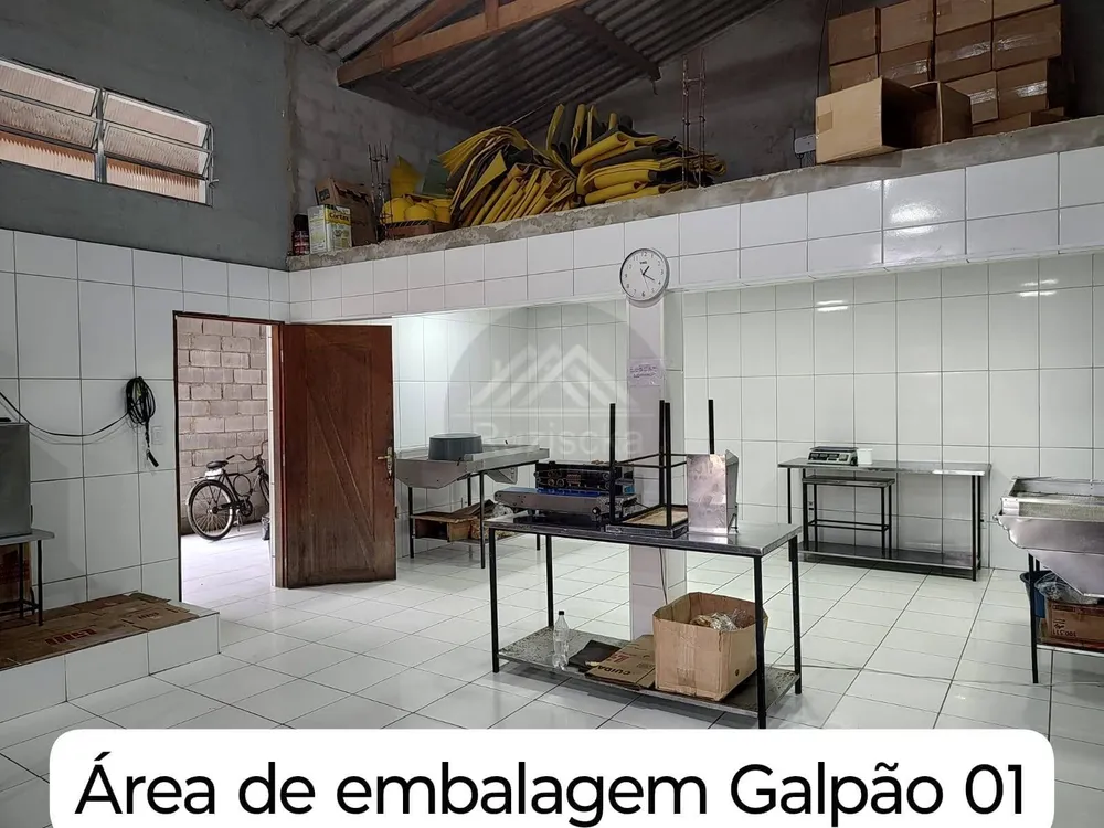 Chácara, 3 quartos, 3000 m² - Foto 9