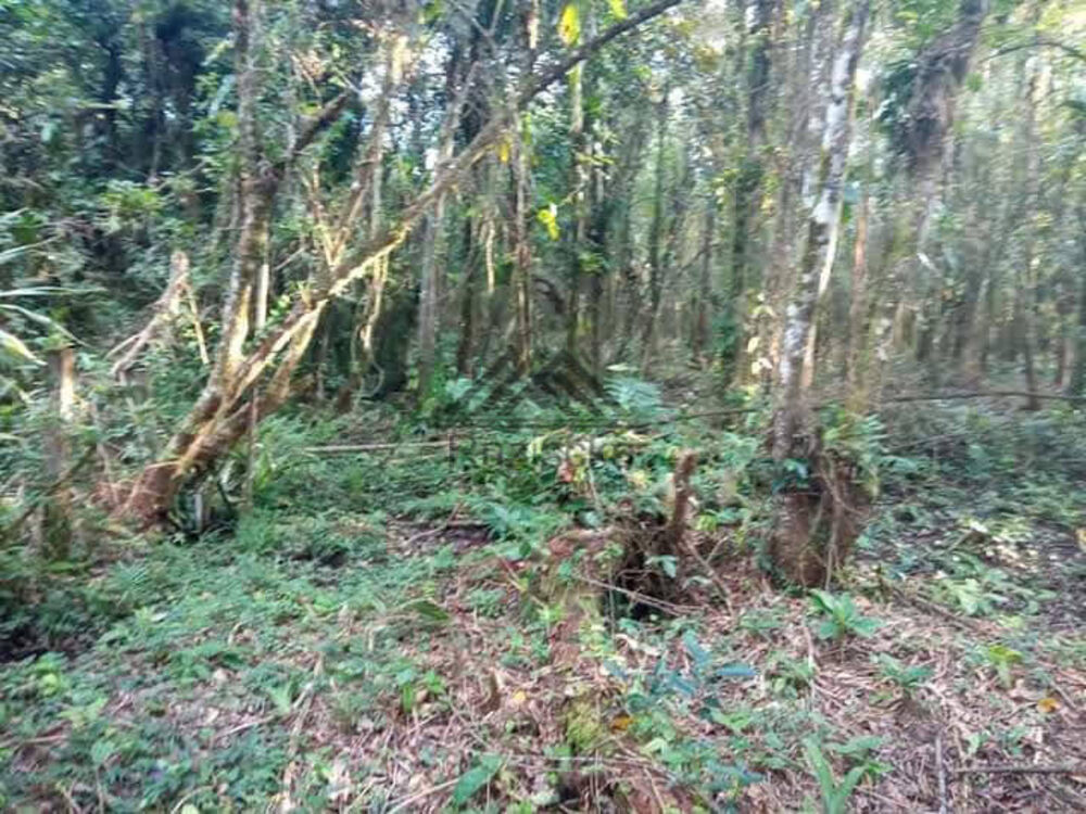 Terreno à venda, 1250m² - Foto 8