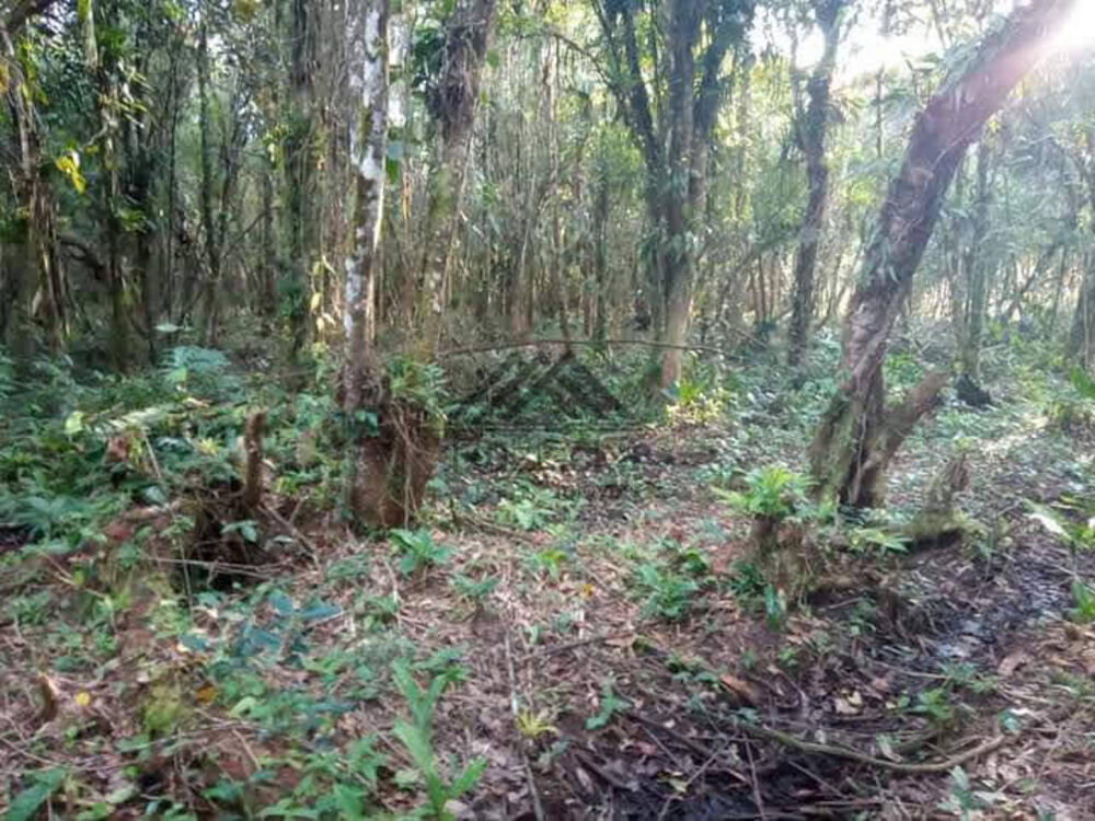 Terreno à venda, 1250m² - Foto 6