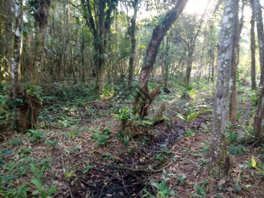 Terreno à venda, 1250m² - Foto 12