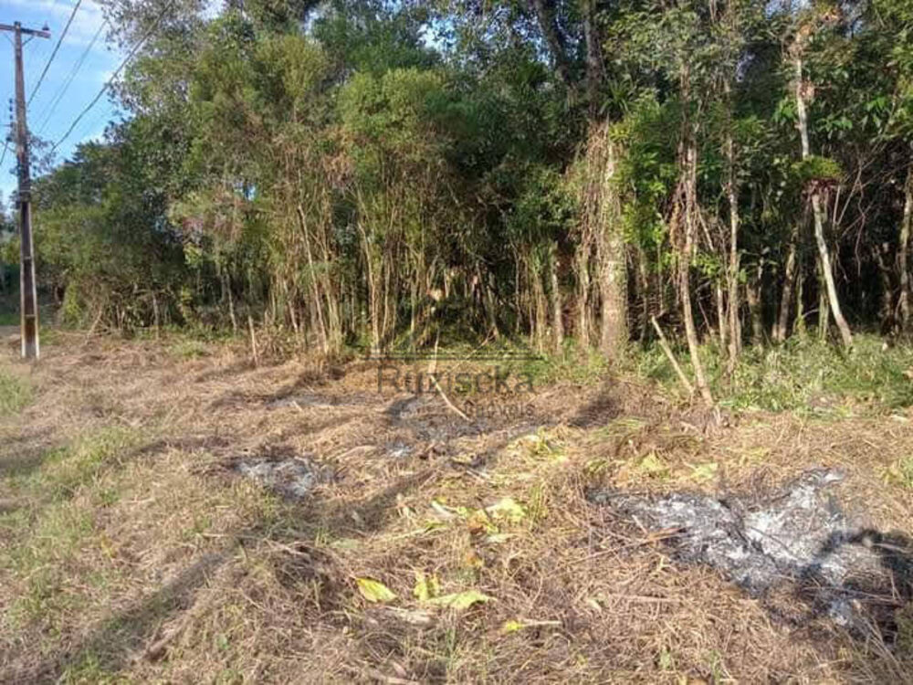 Terreno à venda, 1250m² - Foto 4