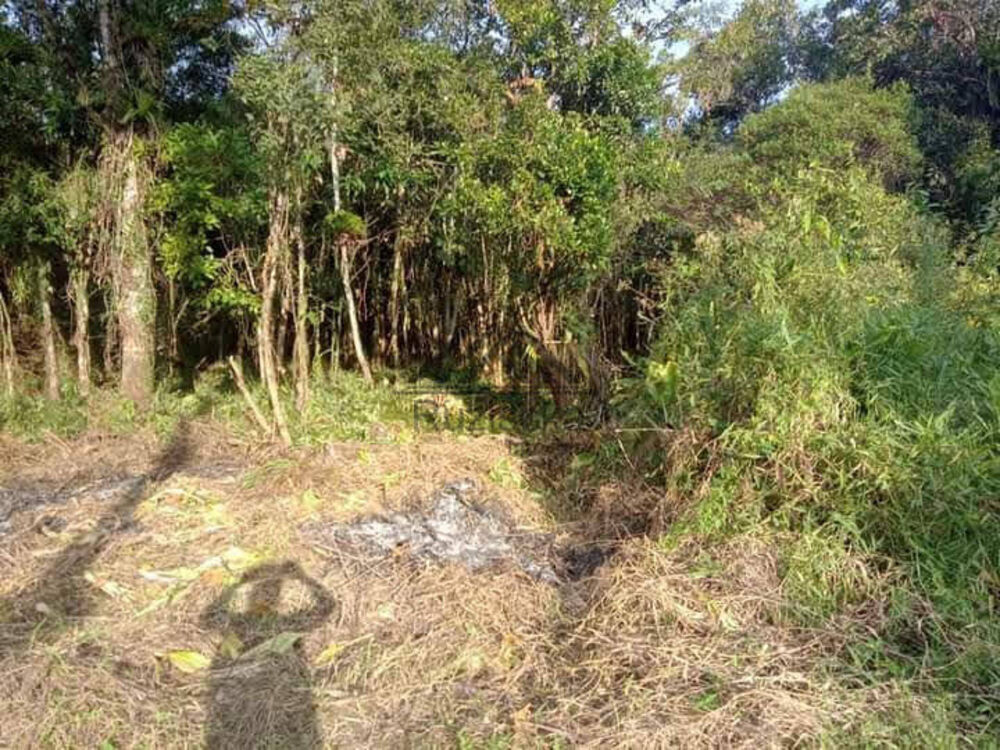 Terreno à venda, 1250m² - Foto 5