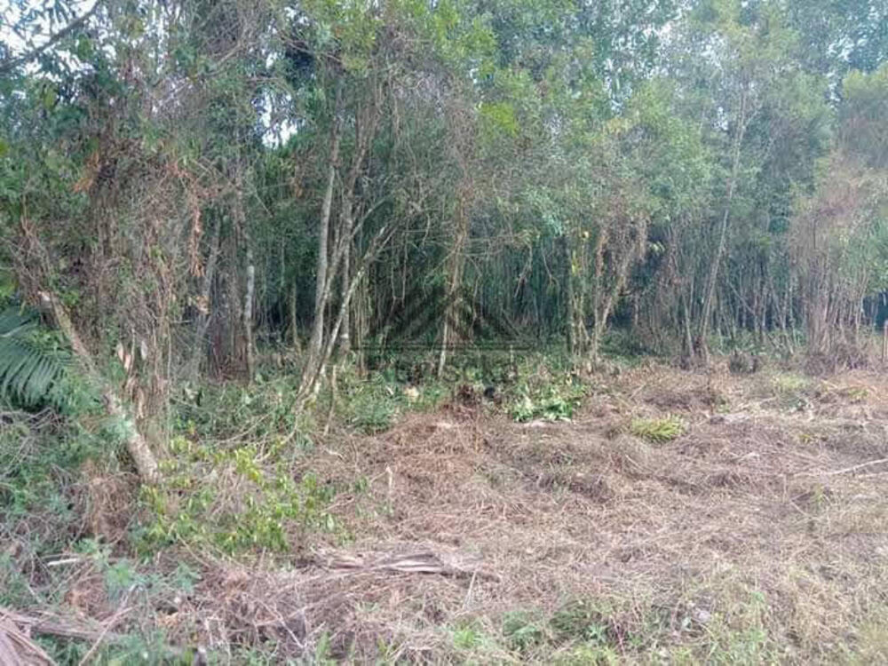 Terreno à venda, 1250m² - Foto 3