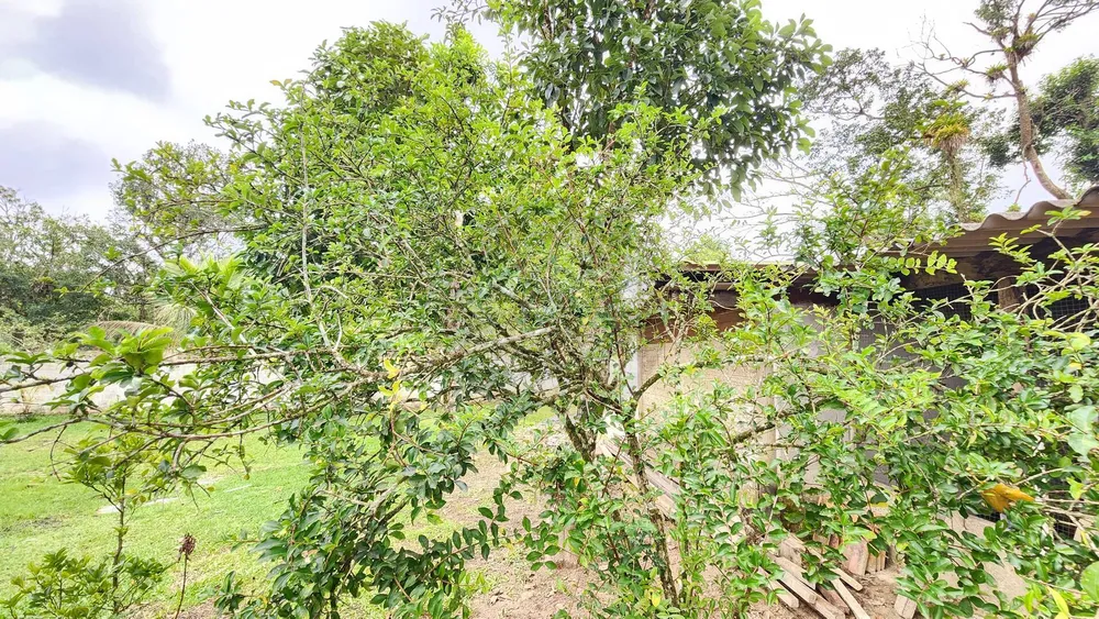 Chácara, 3 quartos, 955 m² - Foto 1