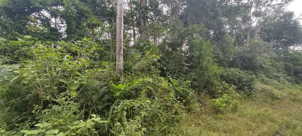 Terreno, 280 m² - Foto 3