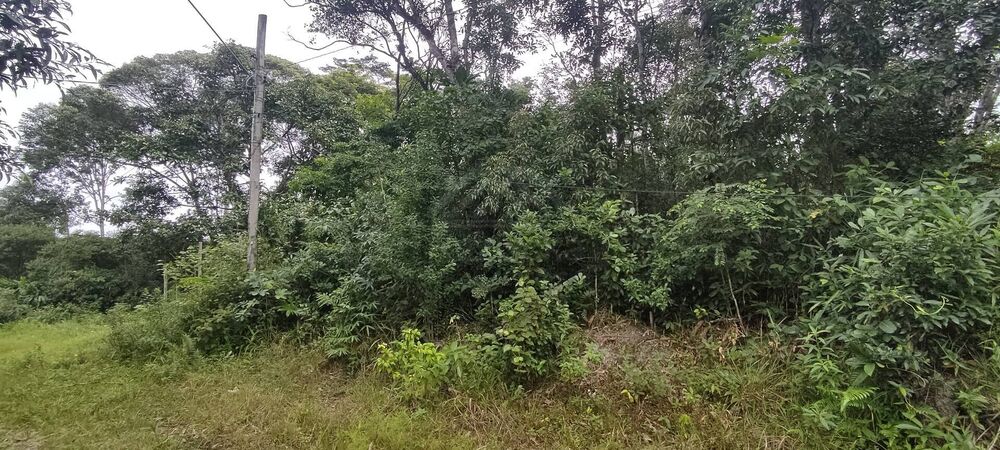 Terreno, 280 m² - Foto 4