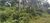 Terreno, 280 m² - Foto 3