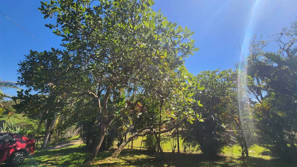 Chácara, 4 quartos, 3000 m² - Foto 42