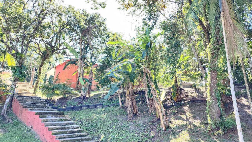 Chácara, 4 quartos, 3000 m² - Foto 18