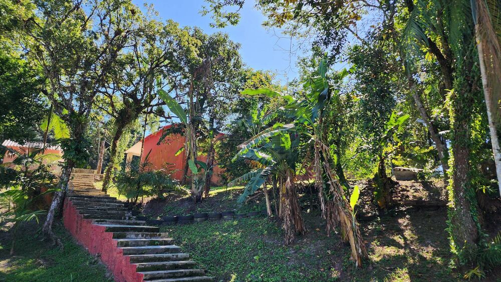 Chácara, 4 quartos, 3000 m² - Foto 8