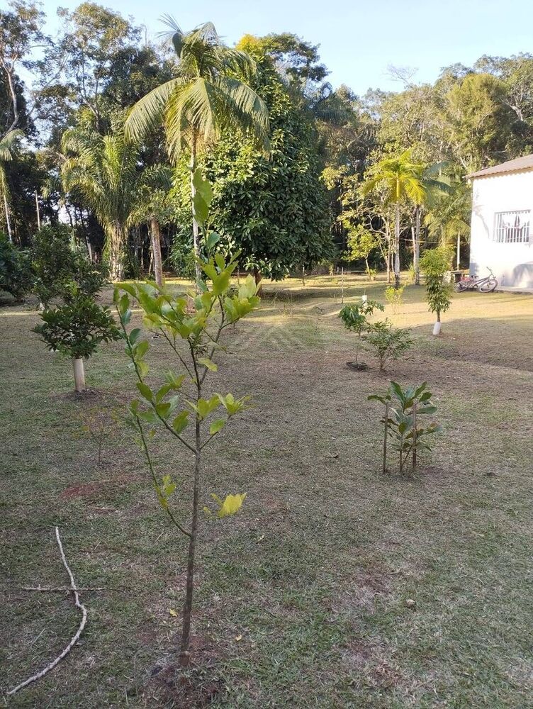 Chácara à venda com 2 quartos, 100m² - Foto 3